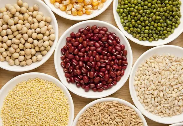 Babio Albooxxin B1 तेर्सो टेक्स्ट क्यासेटको साथ तपाईंको खाद्य श्रृंखला सुरक्षित गर्नुहोस्