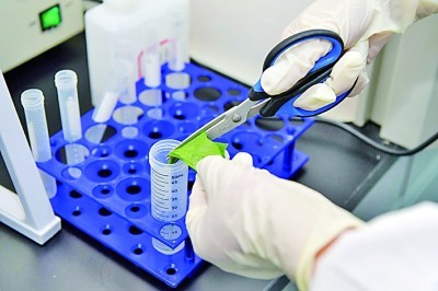 पुनरुत्थान प्रोजिटीन्ट पहिचान BABIO को ग्राहरको ग्रामको ग्रामको ग्रामको ग्रामको साथ