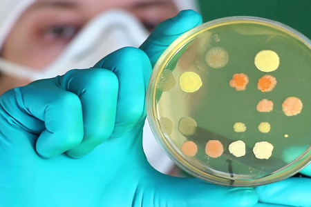 बाबियोले खाद्यान्न र पानी परीक्षणको लागि उच्च-गुणवत्ता शानदार हरी ब्रोथहरू सुरूवात गर्यो