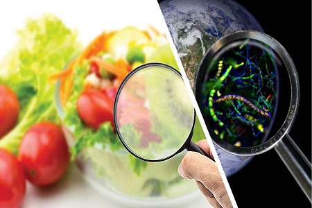BABIO ले ग्लोबल फूड सेफ्टी कन्ट्रोलको लागि Aflatoxin B1 र्‍यापिड टेस्ट क्यासेट ल्यायो