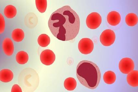 BABIO ले ग्लोबल मार्केटहरूको लागि HBcAb हेपाटाइटिस B कोर Ab र्‍यापिड टेस्ट सुरु गर्‍यो